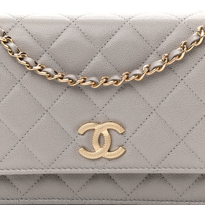 Chanel Caviar Quilted Studded CC Wallet On Chain WOC Grey 9 of 12