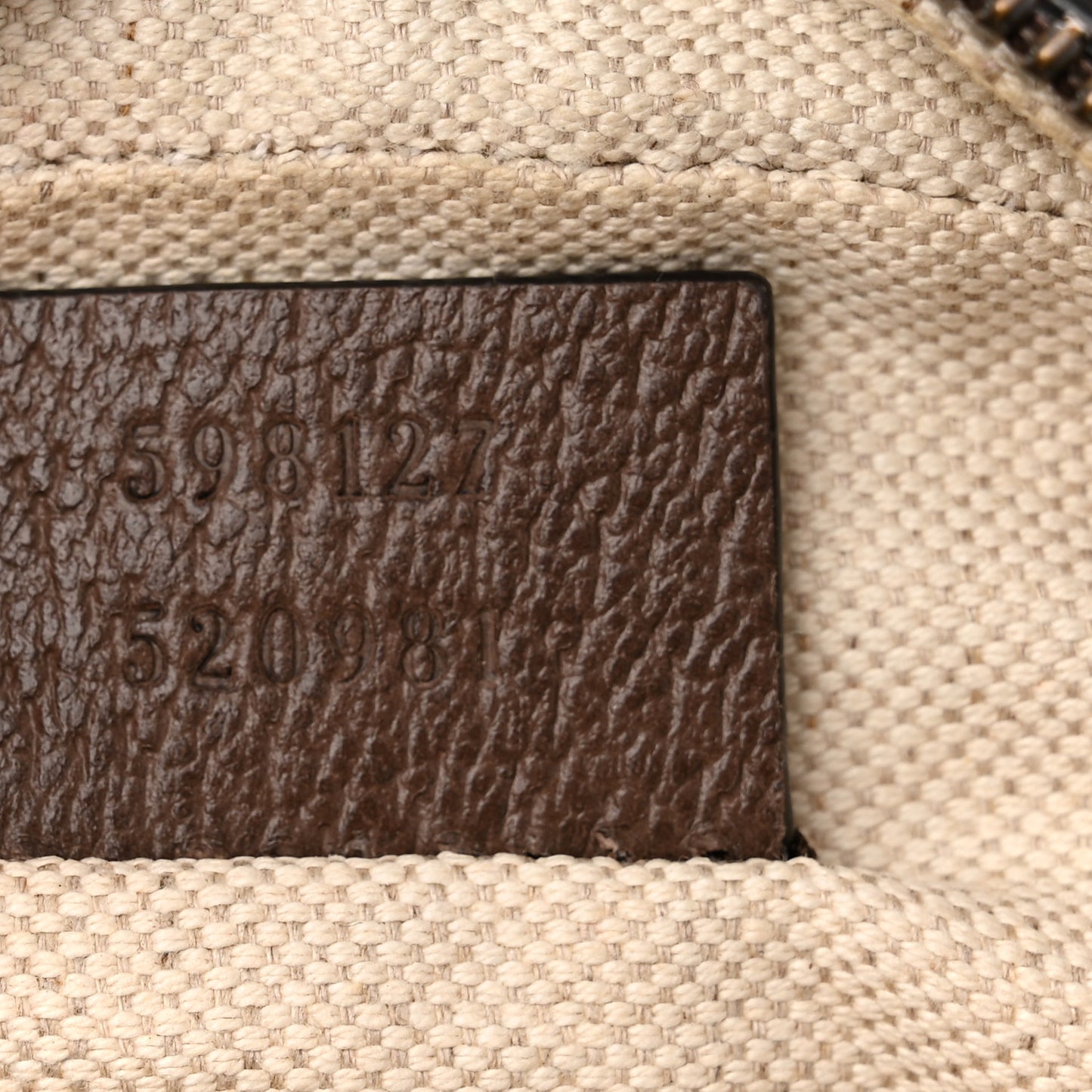GG Supreme Monogram Web Mini Ophidia Messenger Brown