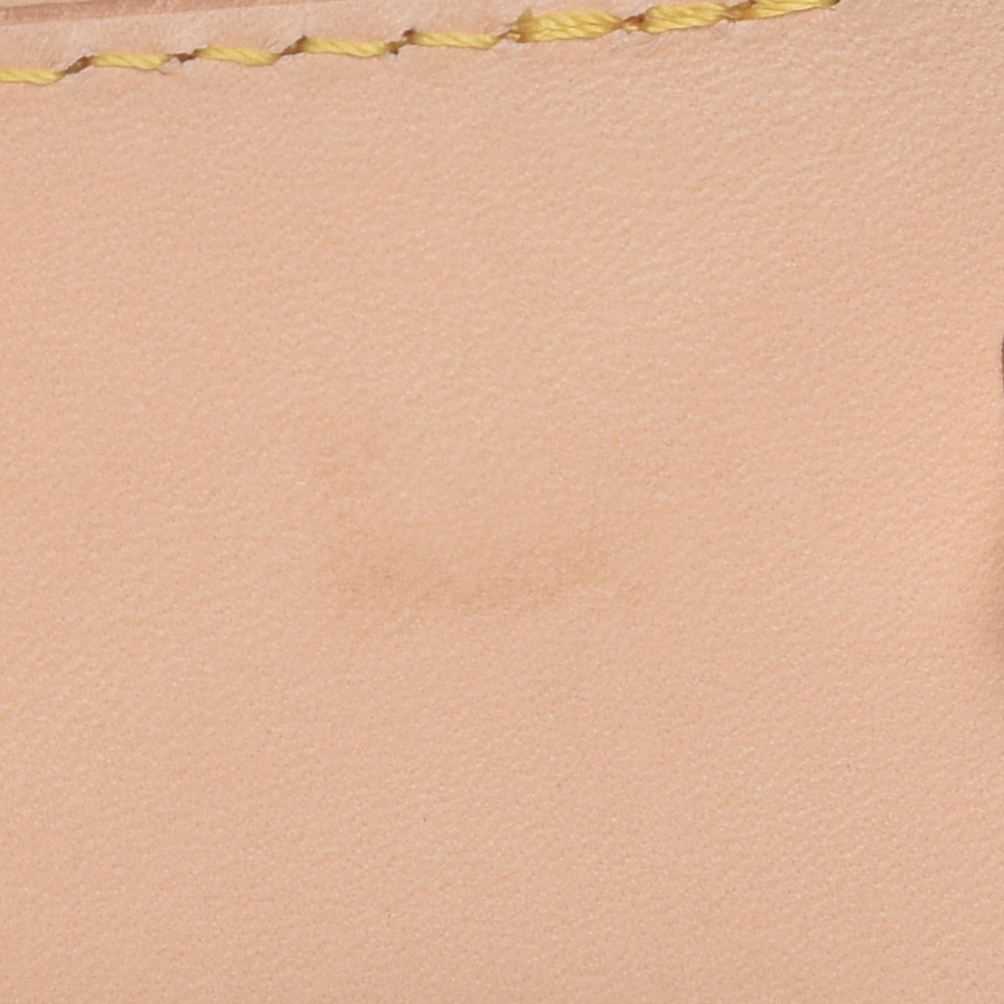 Vachetta Small Luggage Tag
