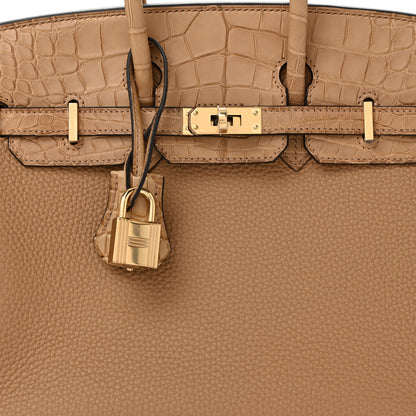 Hermes Togo Matte Alligator Birkin Touch 25 Chai 12 of 25