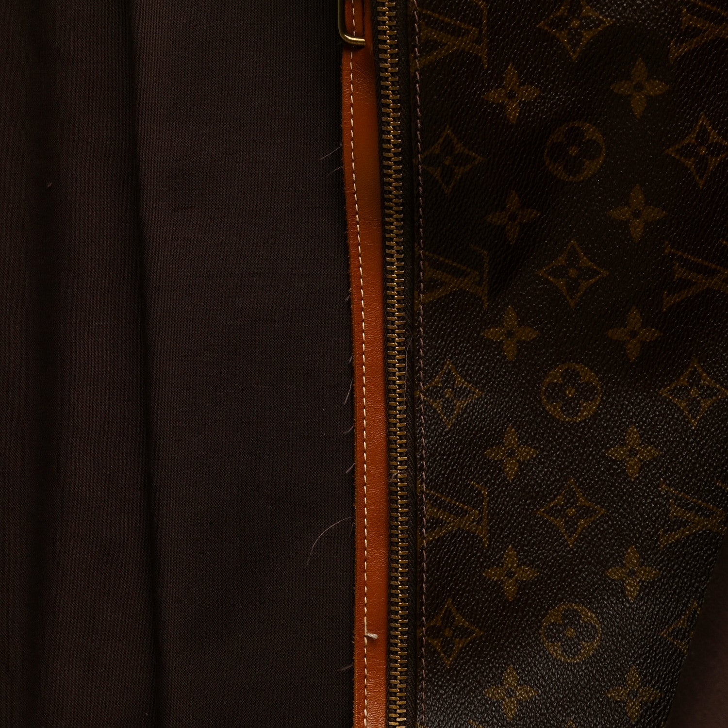 Louis Vuitton French Company Monogram Garment Bag 16 of 31