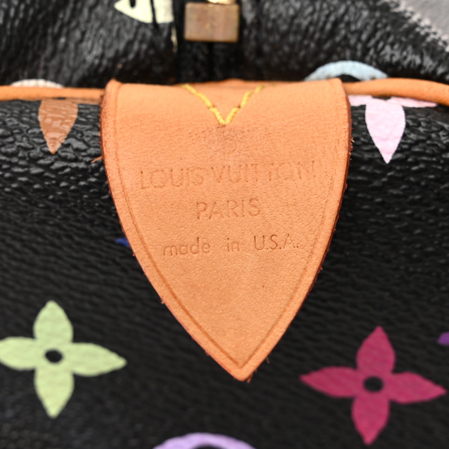 Monogram Multicolor Speedy 30 Black