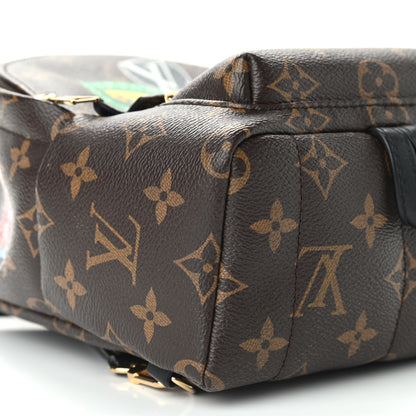 Louis Vuitton Monogram My World Tour Palm Springs Backpack Mini 8 of 15