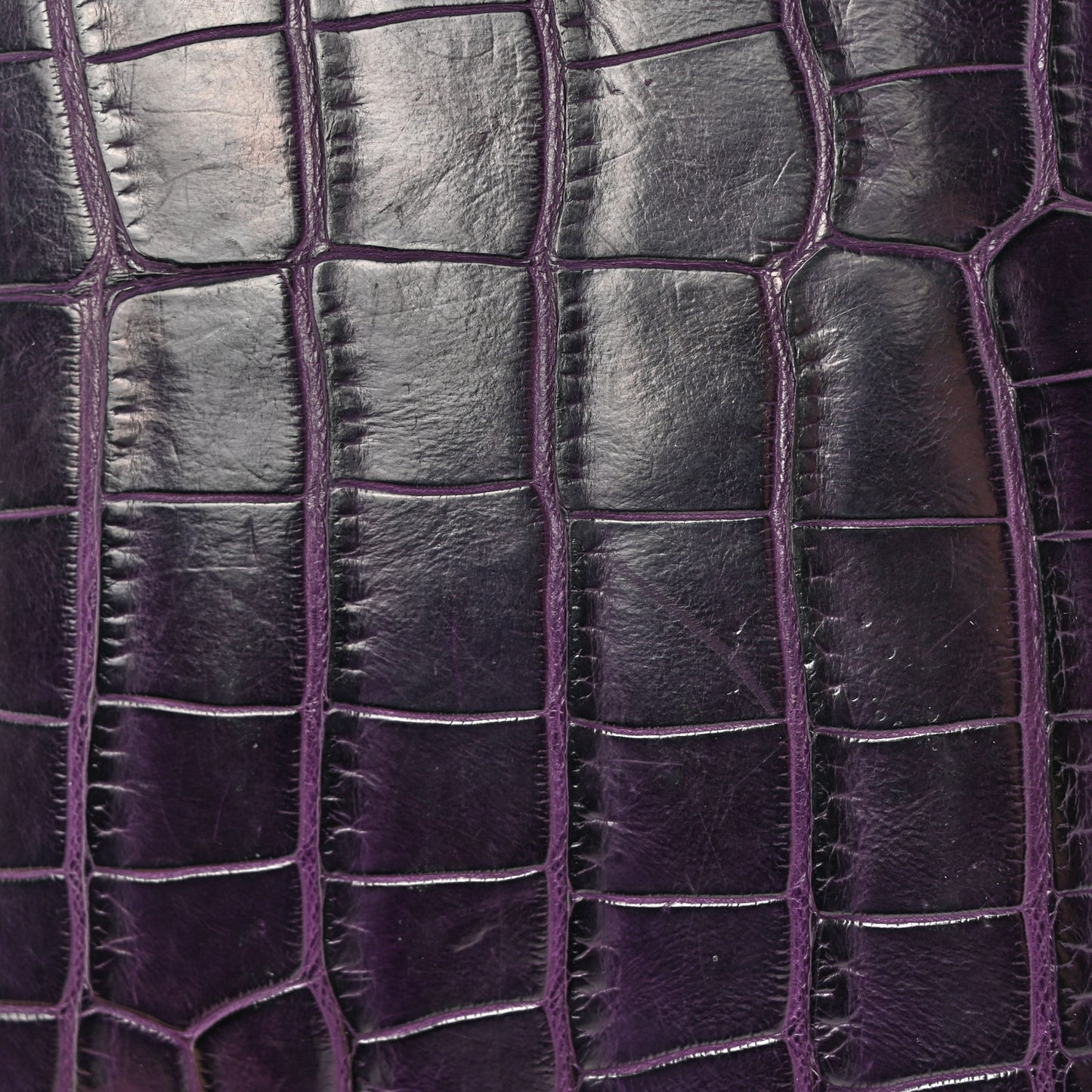 Shiny Alligator Verrou Elan Clutch Amethyst