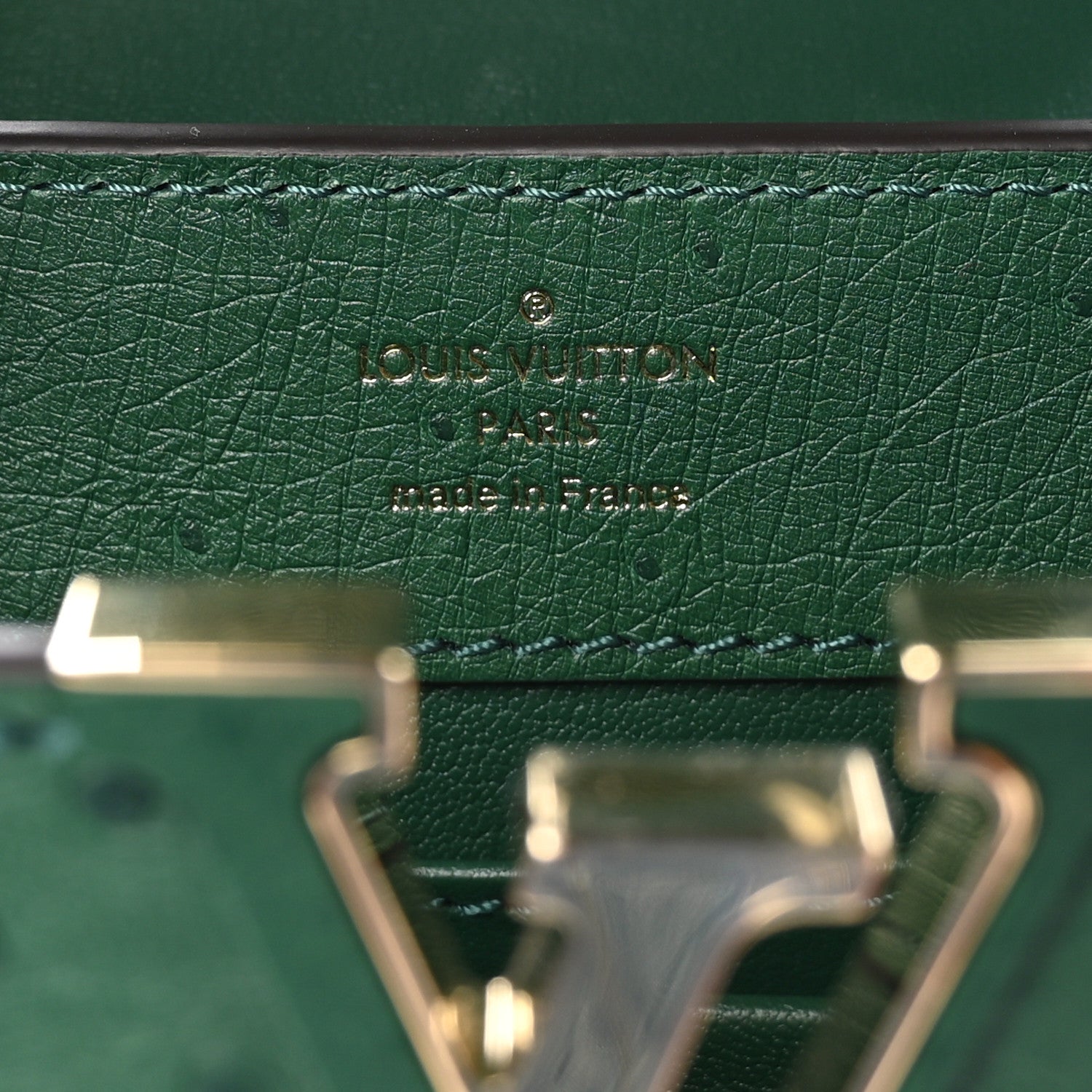 Louis Vuitton Ostrich Capucines Mini Mint 6 of 10