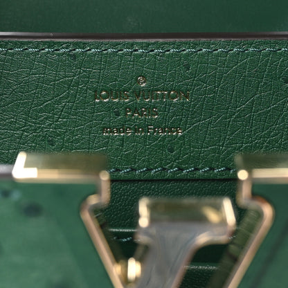 Louis Vuitton Ostrich Capucines Mini Mint 6 of 10