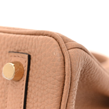 Hermes Togo Birkin 25 Chai 11 of 12