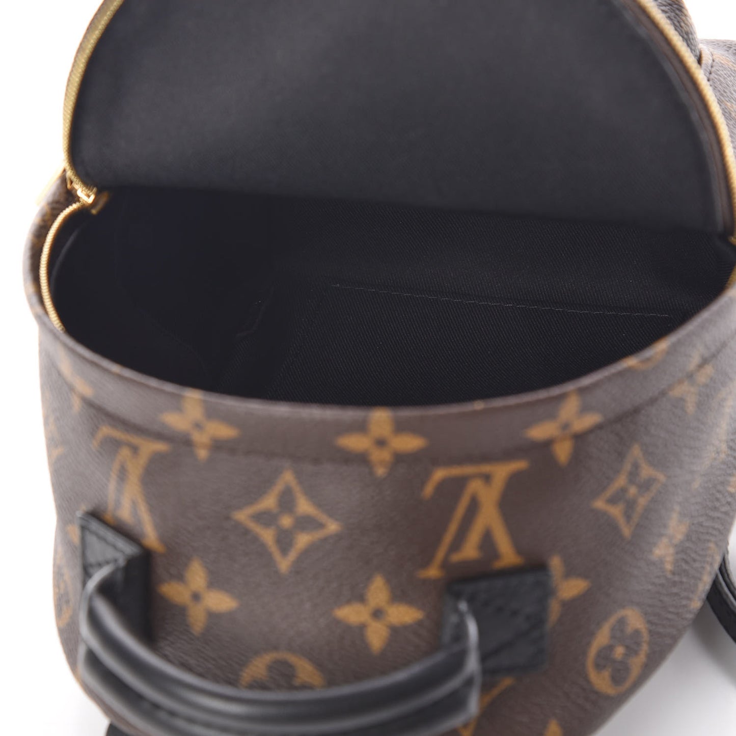 Monogram Palm Springs Backpack Mini