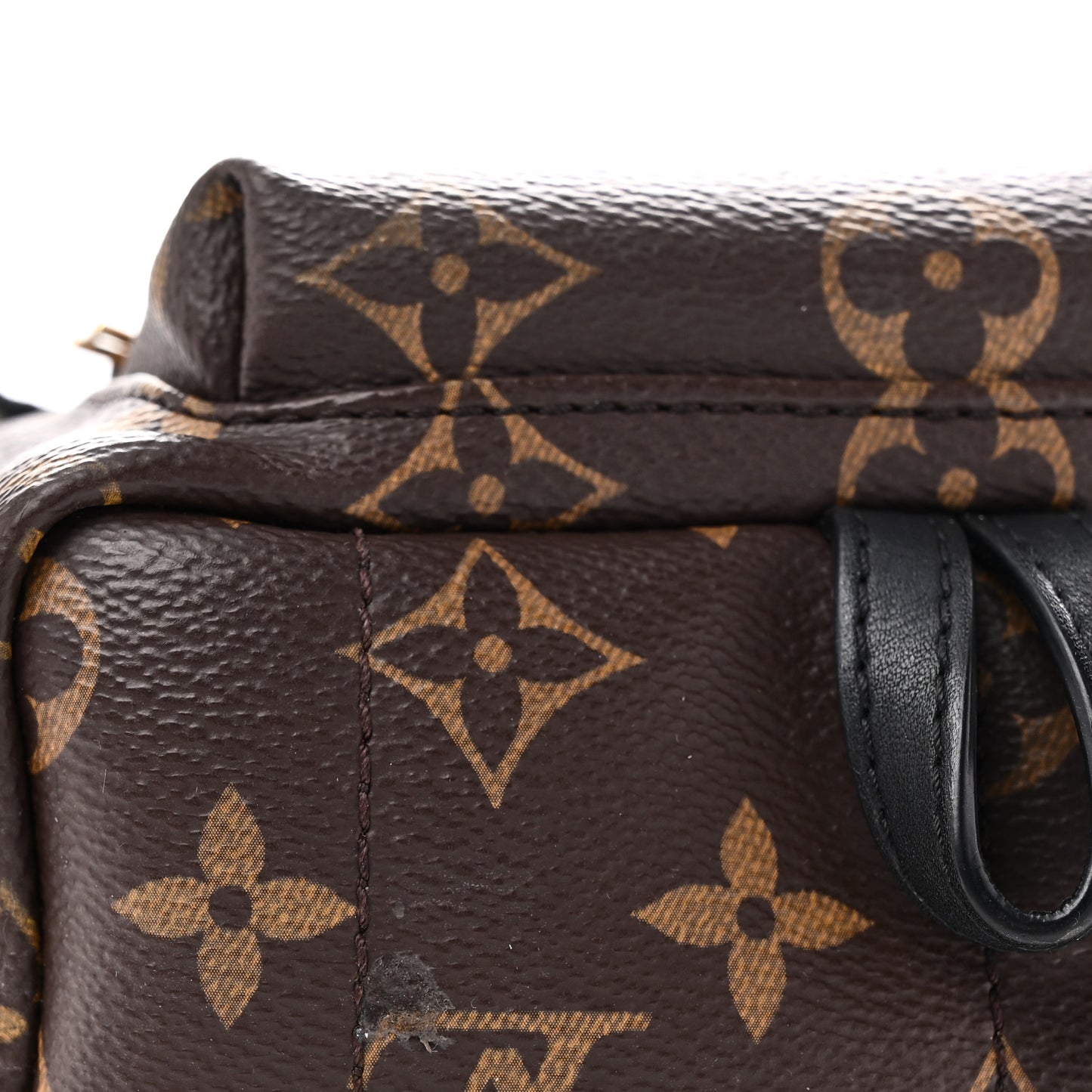 Monogram Palm Springs Backpack Mini