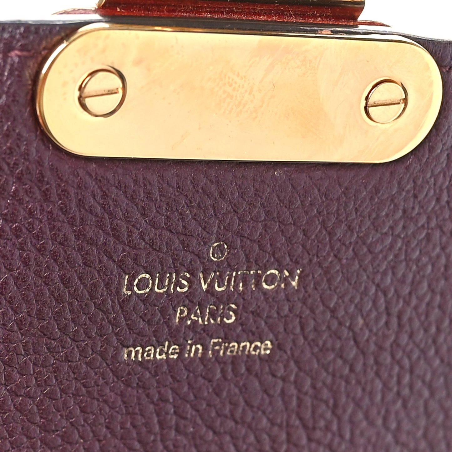 Monogram Eden MM Bordeaux
