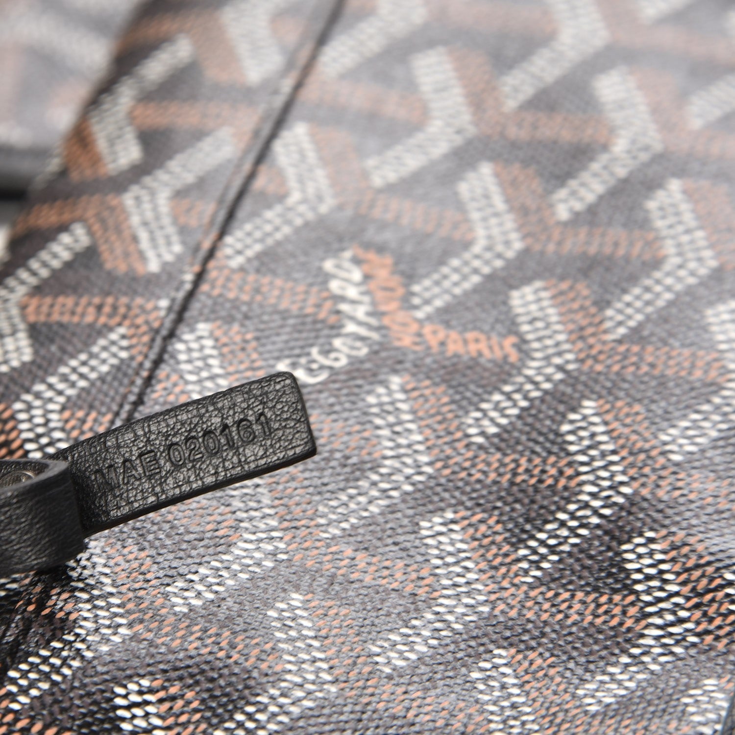 Goyard Goyardine Saint Louis PM Black 7 of 7