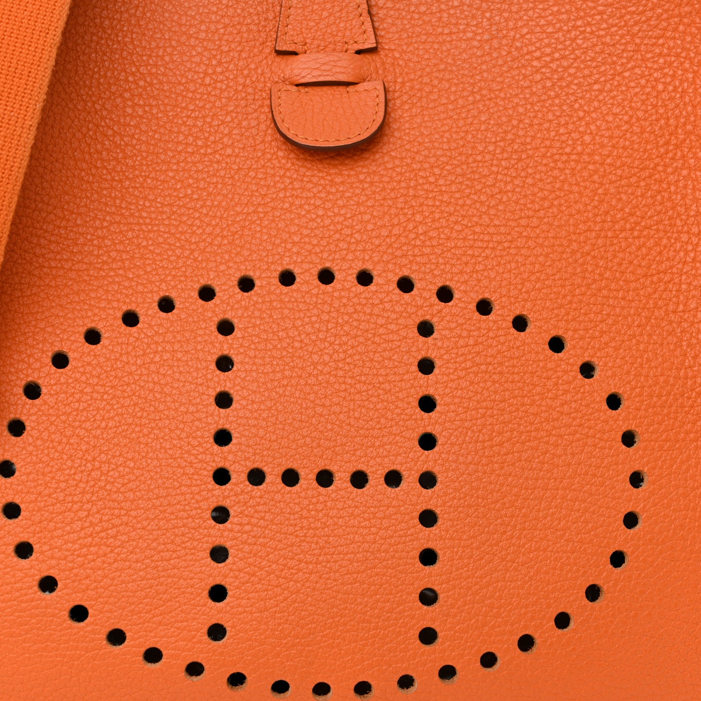 Taurillon Clemence Evelyne III GM Orange