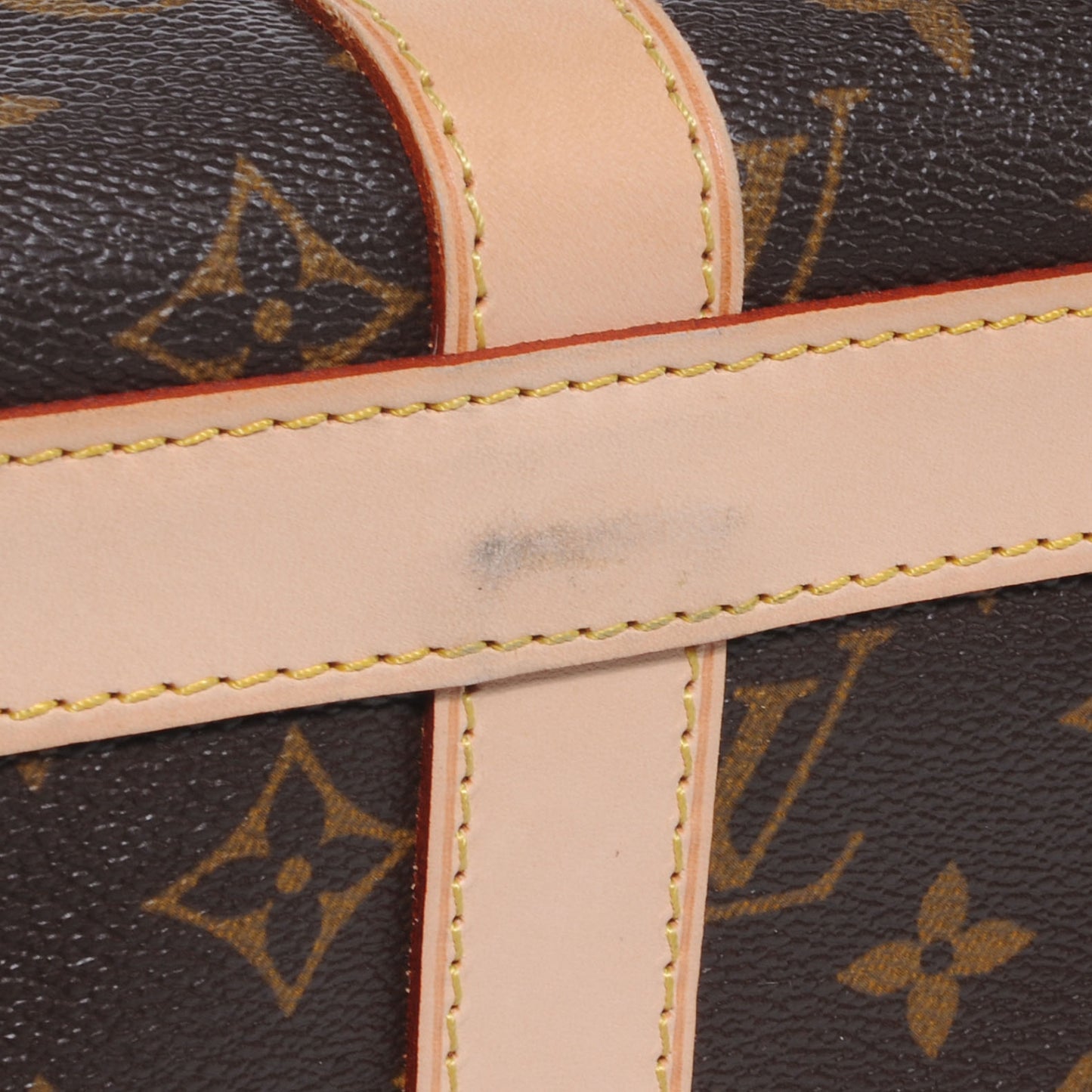 Monogram Sac Chien 40 Pet Carrier