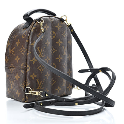 Louis Vuitton Monogram Palm Springs Backpack Mini 2 of 10