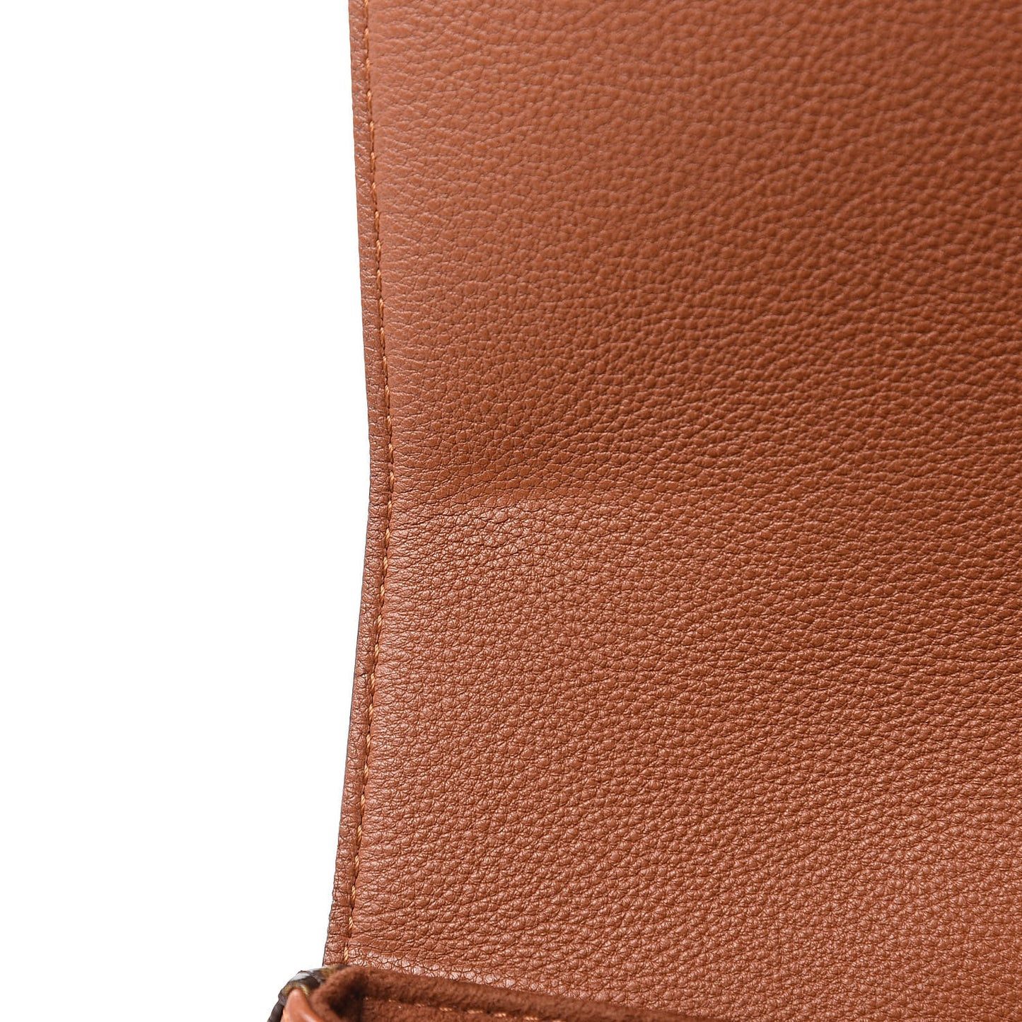 Monogram Eden MM Camel