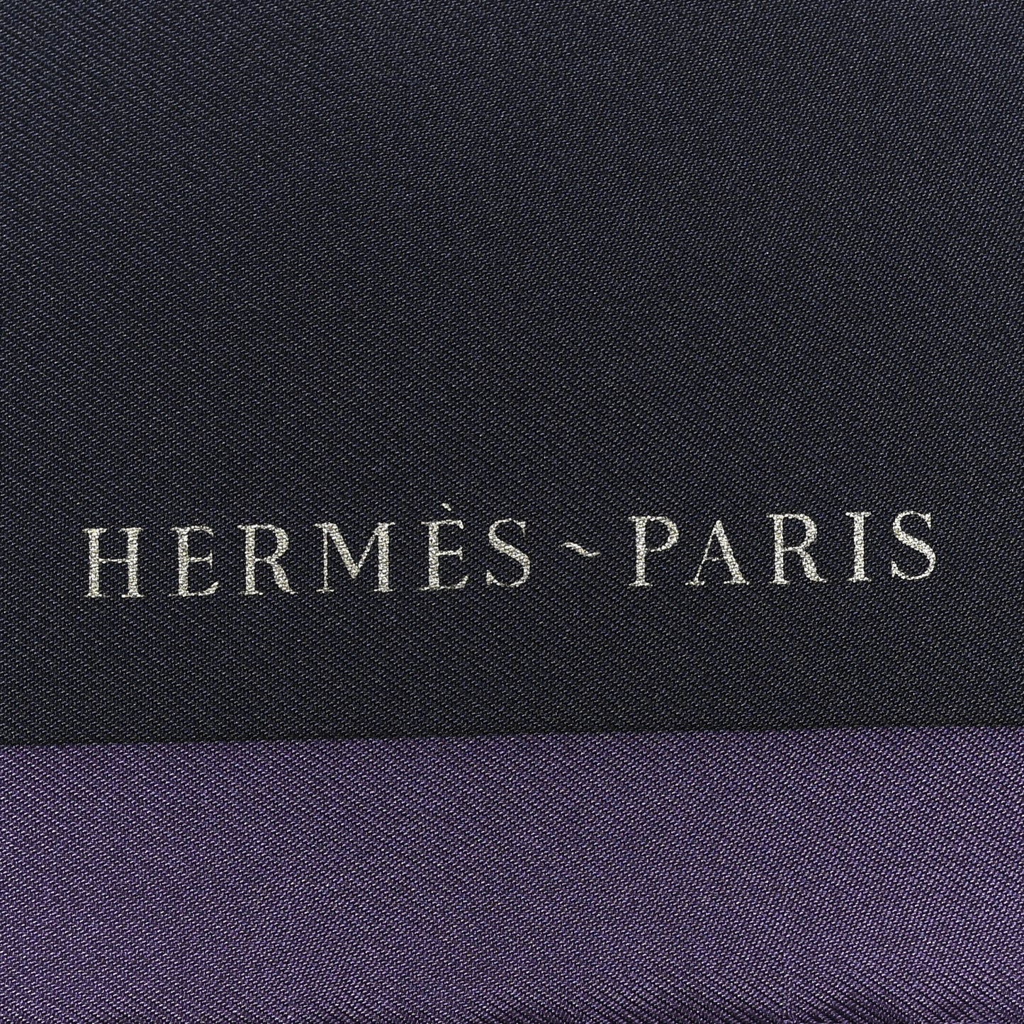 Silk Robe Legere Scarf 45 Aubergine Bleu Black