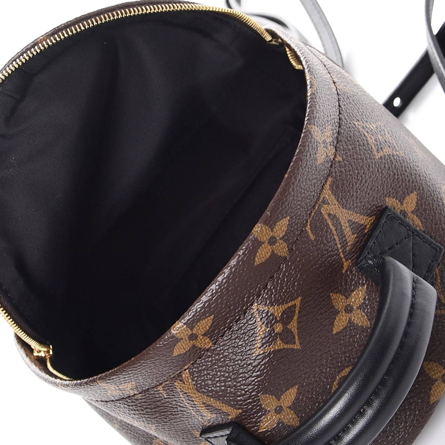 Monogram Palm Springs Backpack Mini