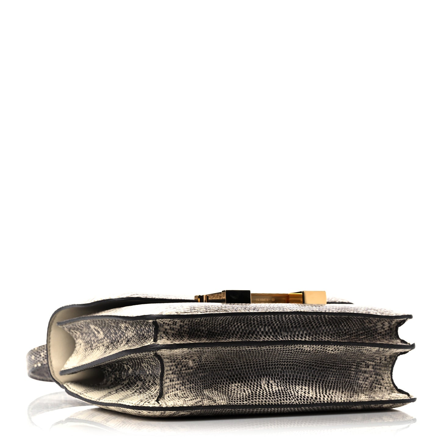 Lizard Constance 18 Ombre