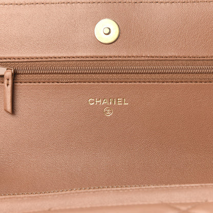 Chanel Lambskin Quilted 19 Wallet On Chain WOC Brown 11 of 13