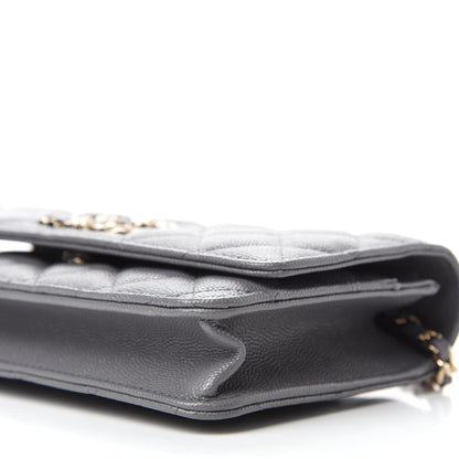 Chanel Caviar Quilted French New Wave Chain CC Wallet On Chain WOC Grey 7 of 13
