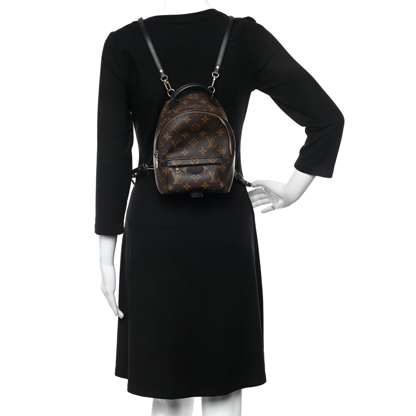 Monogram Palm Springs Backpack Mini