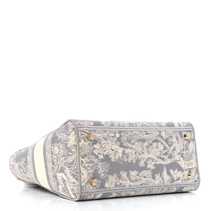 Christian Dior Canvas Toile De Jouy Reverse Embroidered Medium Lady D-Lite Gray 4 of 12