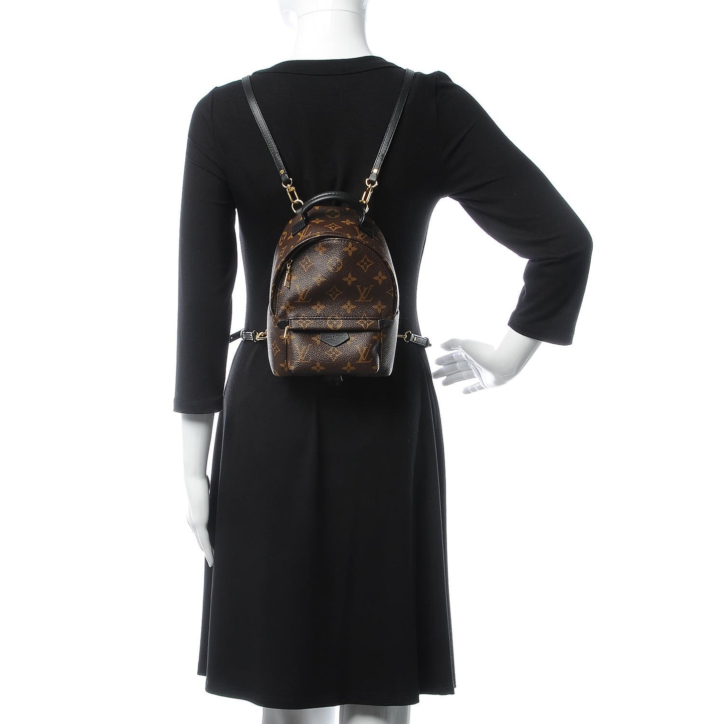 Monogram Palm Springs Backpack Mini