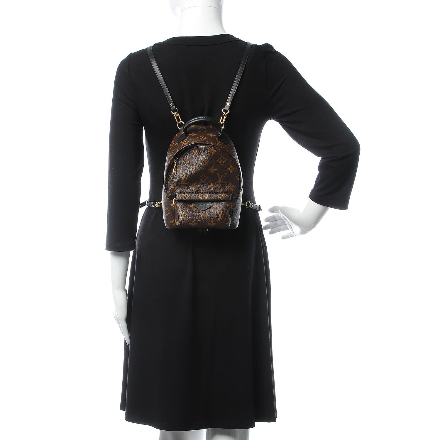 Louis Vuitton Monogram Palm Springs Backpack Mini 2 of 6
