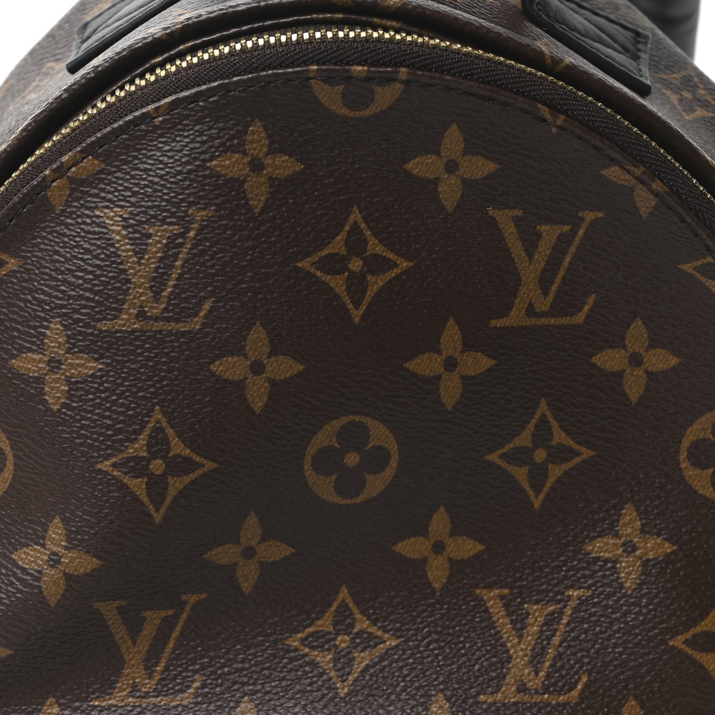 Monogram Palm Springs Backpack PM