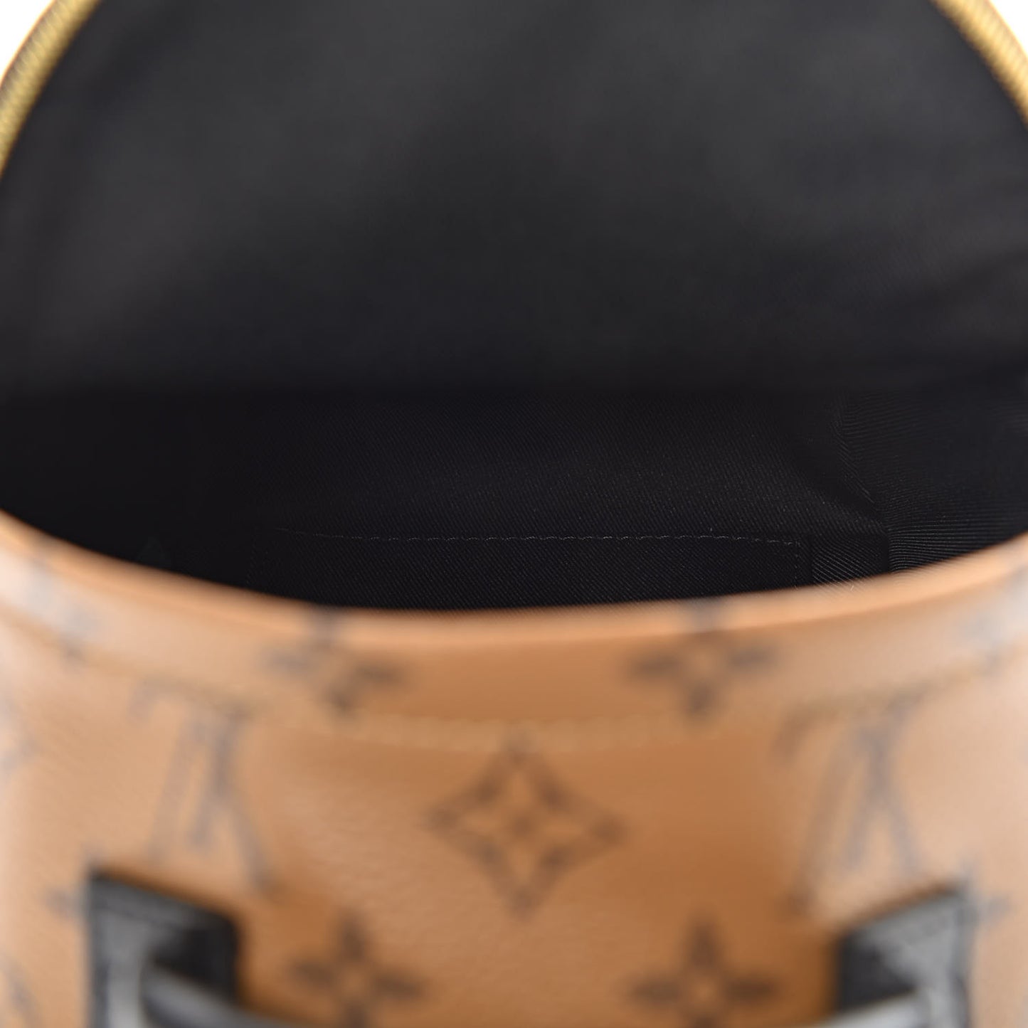 Reverse Monogram Palm Springs Backpack Mini