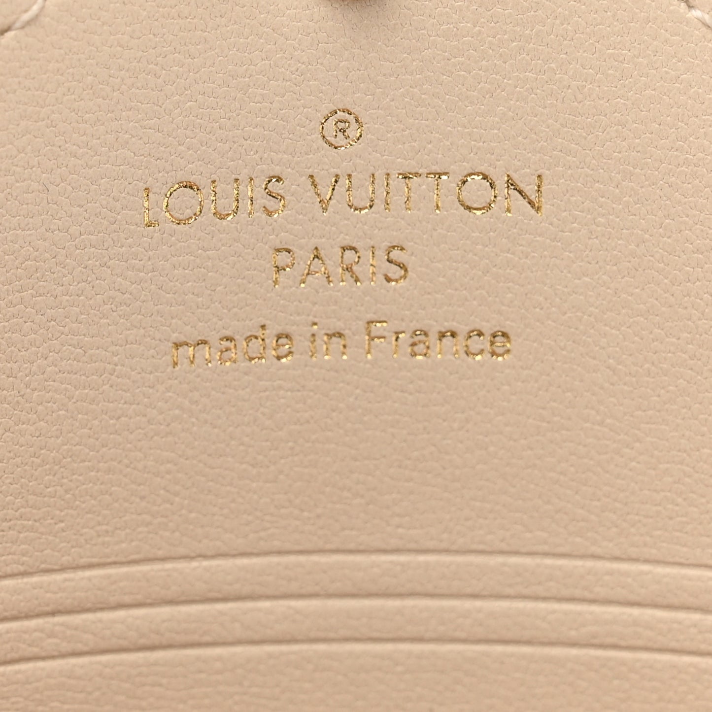 Monogram By The Pool Small Kirigami Pochette Insert Brume