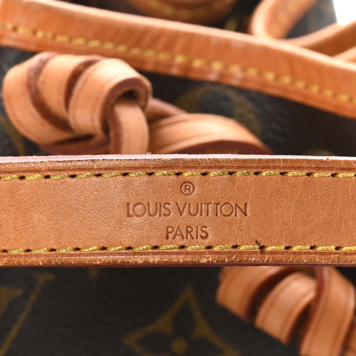 Monogram Mini Noe