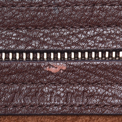Celine Shiny Grained Calfskin Medium Phantom Luggage Brown 7 of 21