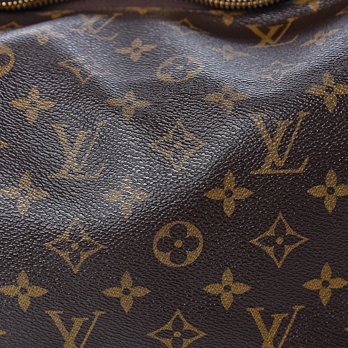 Monogram Sully MM