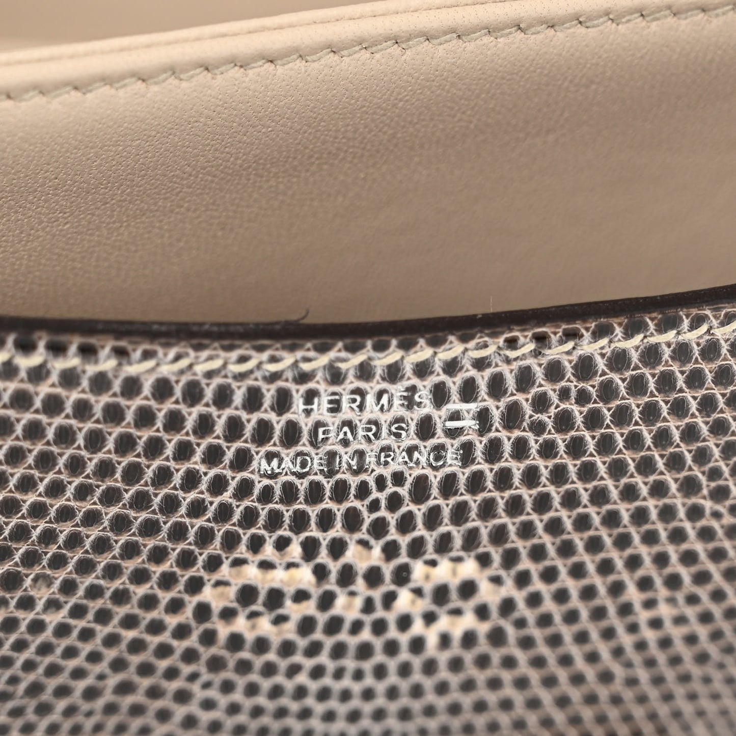 Lizard Constance 18 Ombre