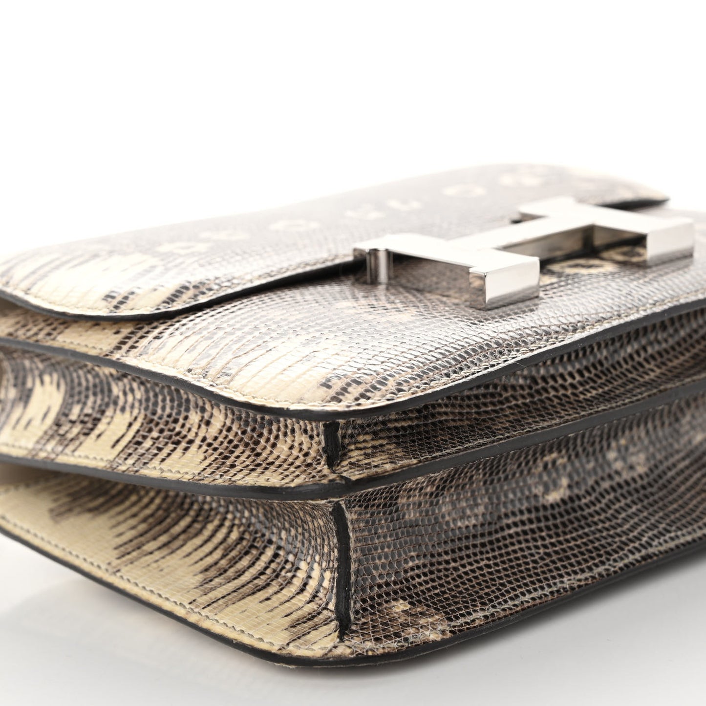 Lizard Constance 18 Ombre