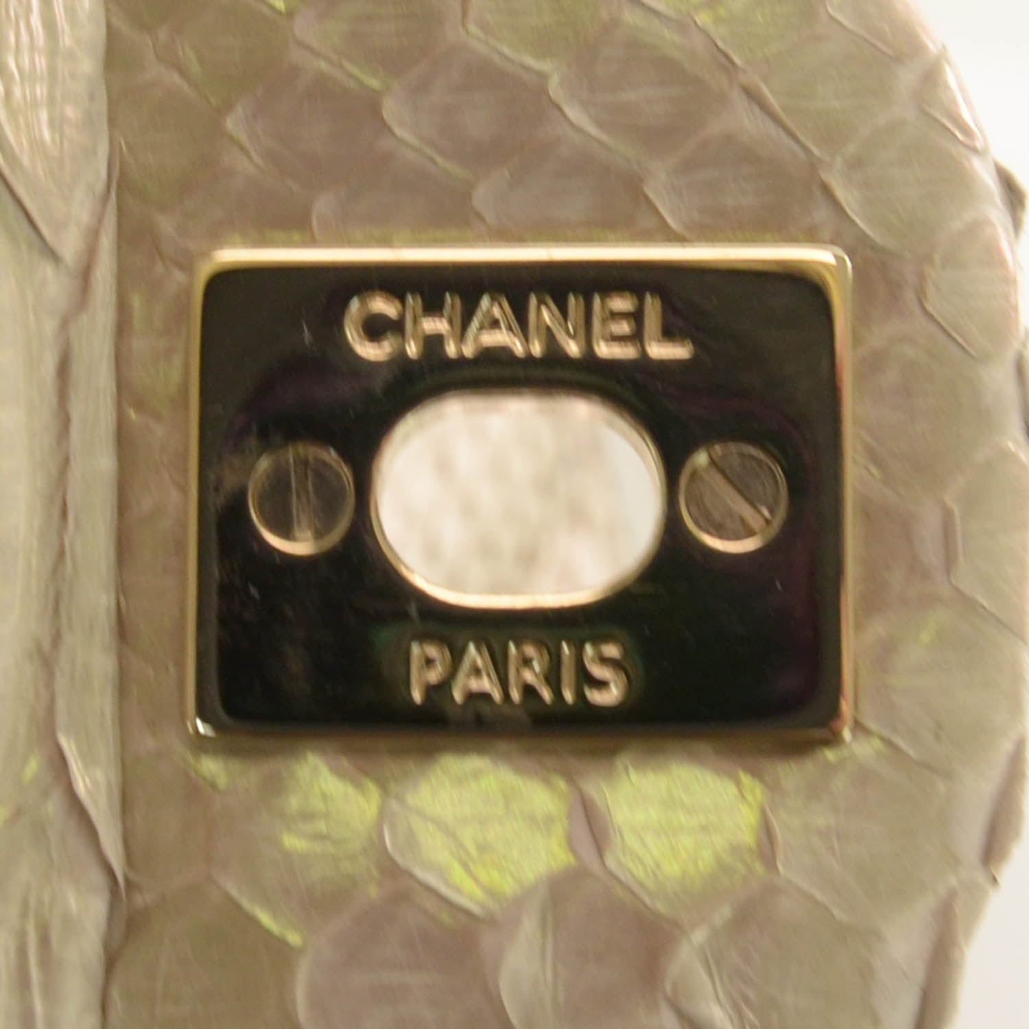 Chanel Iridescent Python Mini Flap 6 of 10