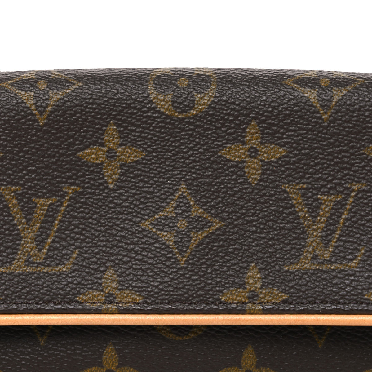 Monogram Pochette Twin PM