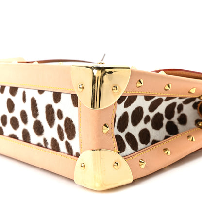 Louis Vuitton Monogram Multicolor Dalmatian Sac Rabat 9 of 9