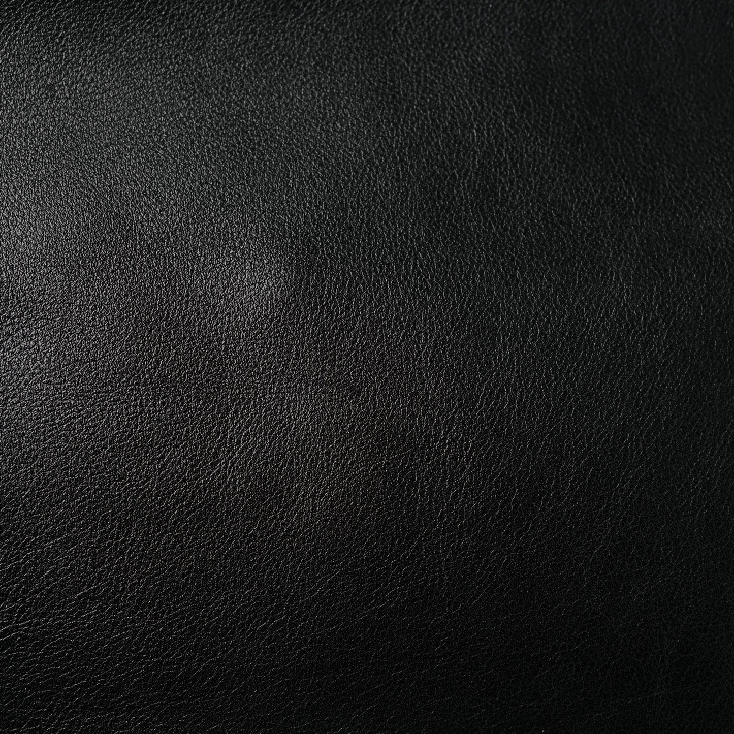 Vitello Rockstud Hobo Black