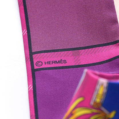Hermes Silk Camails Twilly 4 of 5