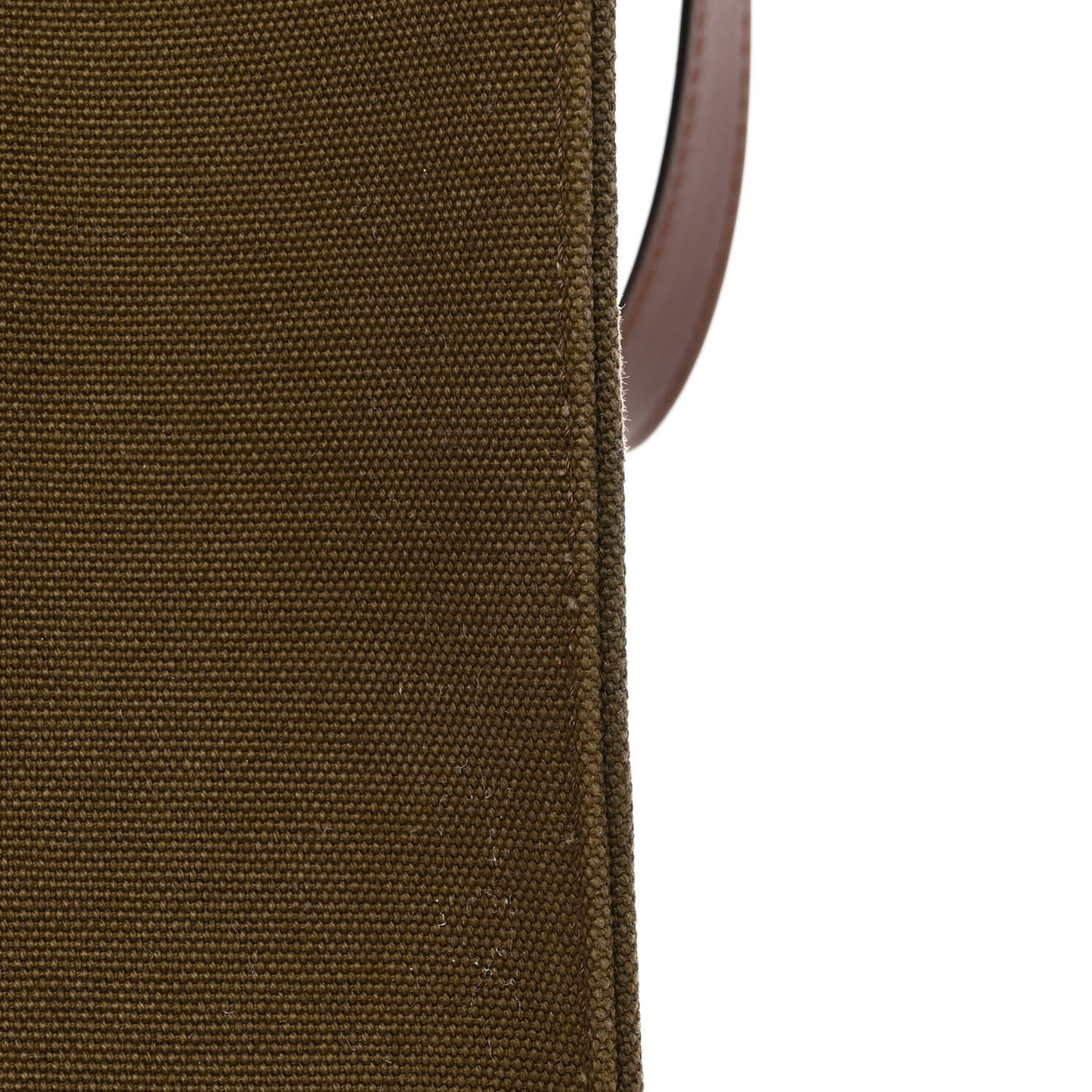 X SARAH COLEMAN Canvas FF Fish Eye Embroidered Medium Peekaboo X-Tote Amazzonia Ghianda