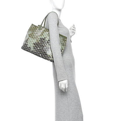 Goyard Goyardine Saint Louis Canopée PM Khaki 2 of 11