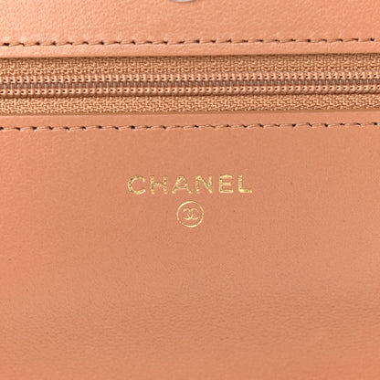 Chanel Lambskin Quilted Chanel 19 Wallet On Chain WOC Brown 6 of 14