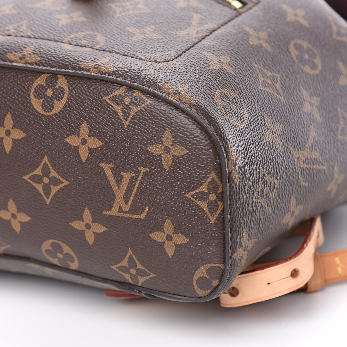 Monogram Montsouris NM Backpack