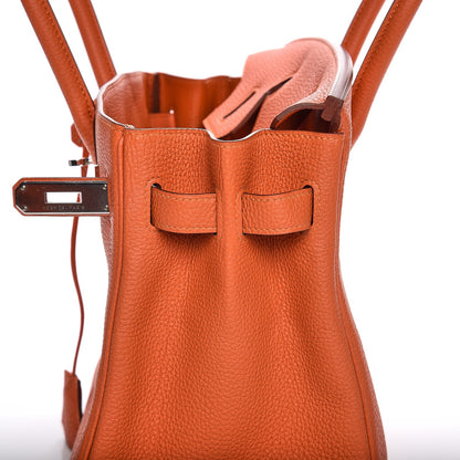 Hermes Togo Birkin 30 Feu 25 of 32