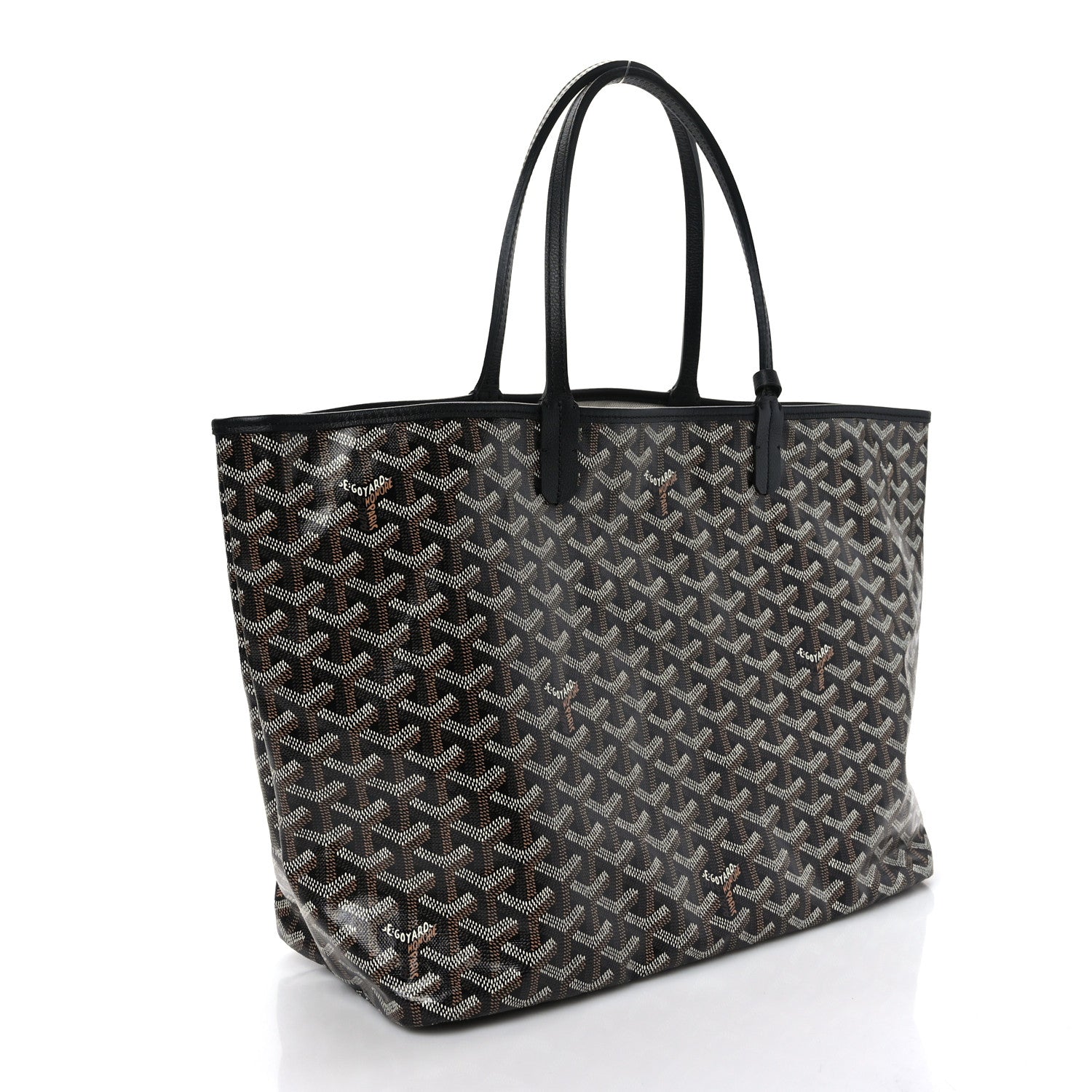 Goyard Goyardine Saint Louis PM Black 4 of 10