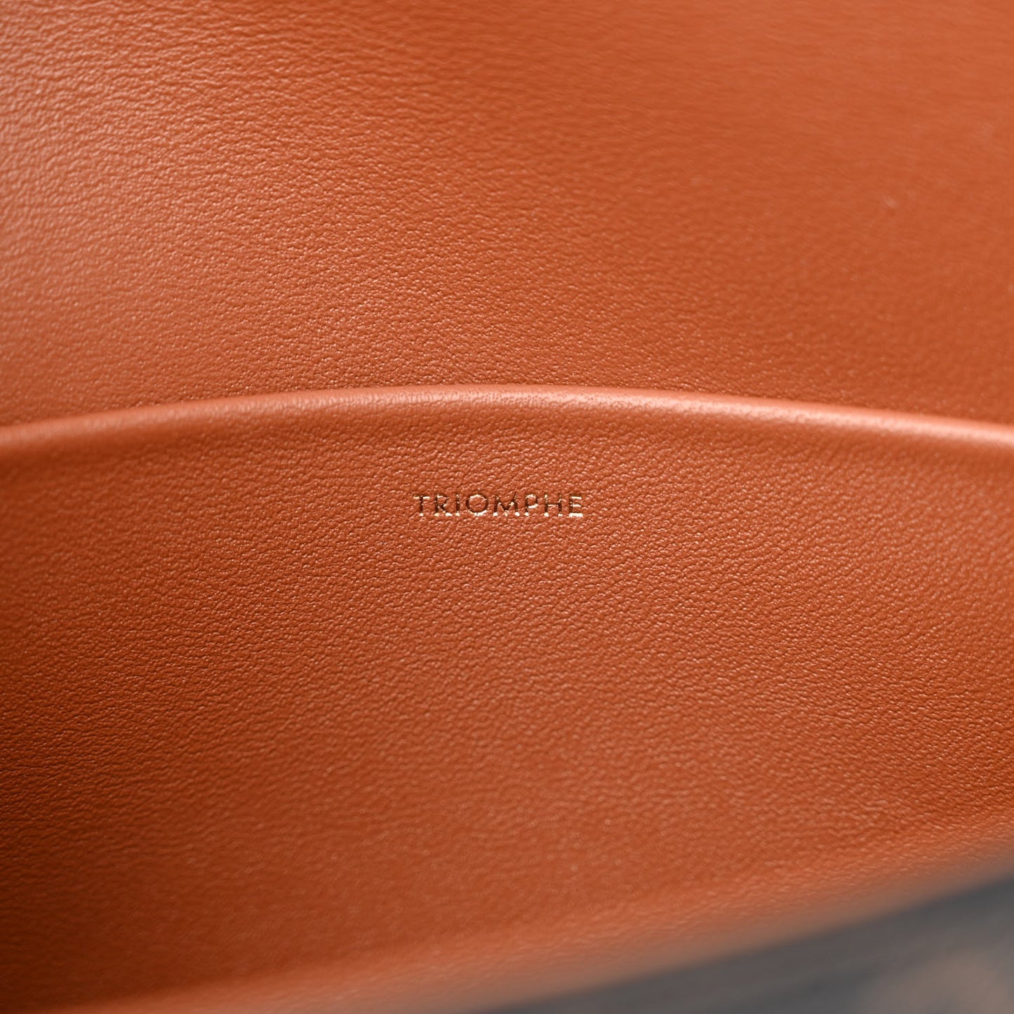 Canvas Calfskin Triomphe Shoulder Bag Tan