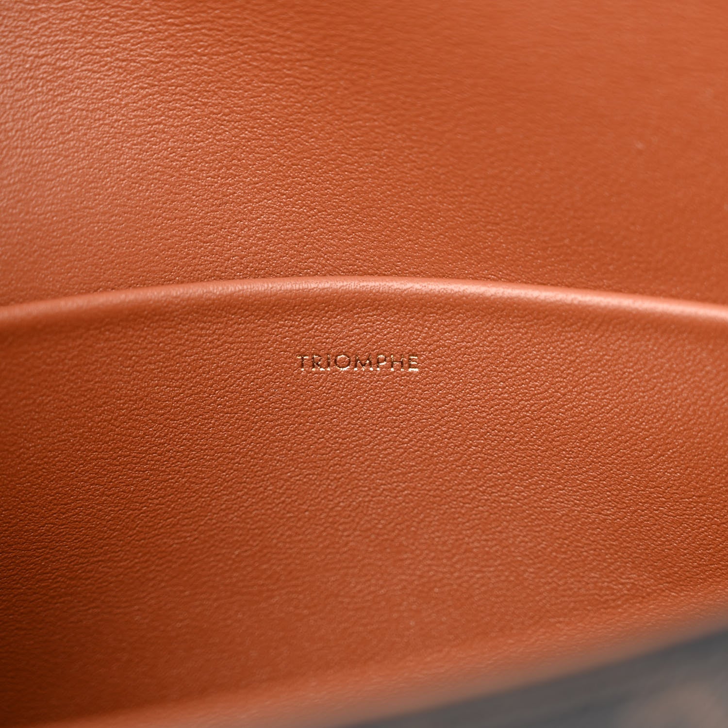 Celine Canvas Calfskin Triomphe Shoulder Bag Tan 6 of 11