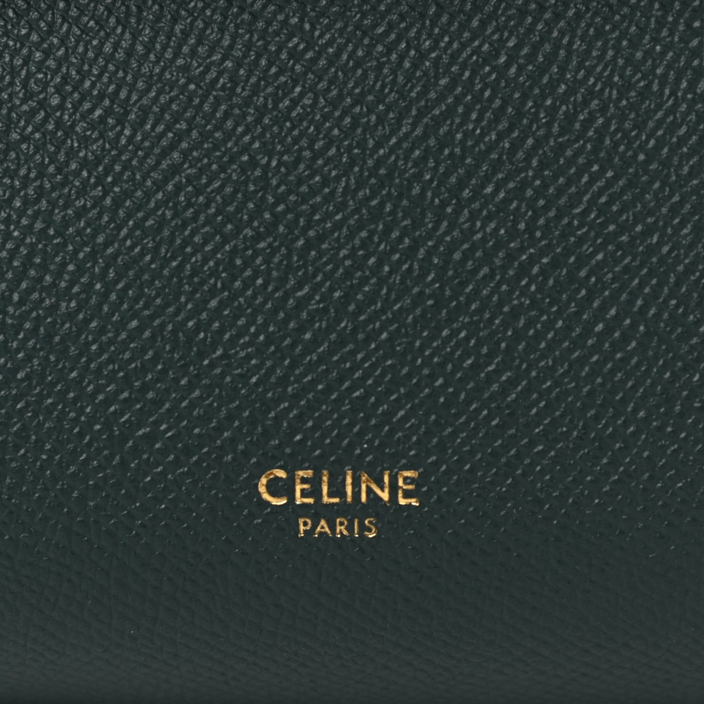Grained Calfskin Nano Belt Bag Amazone